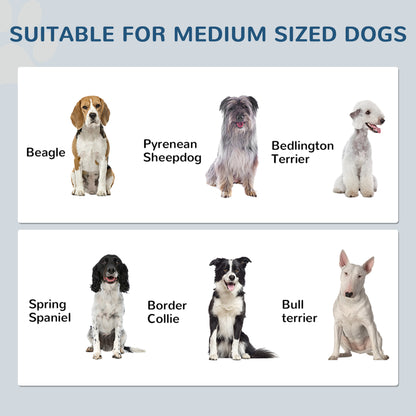 Pet Feeding Station