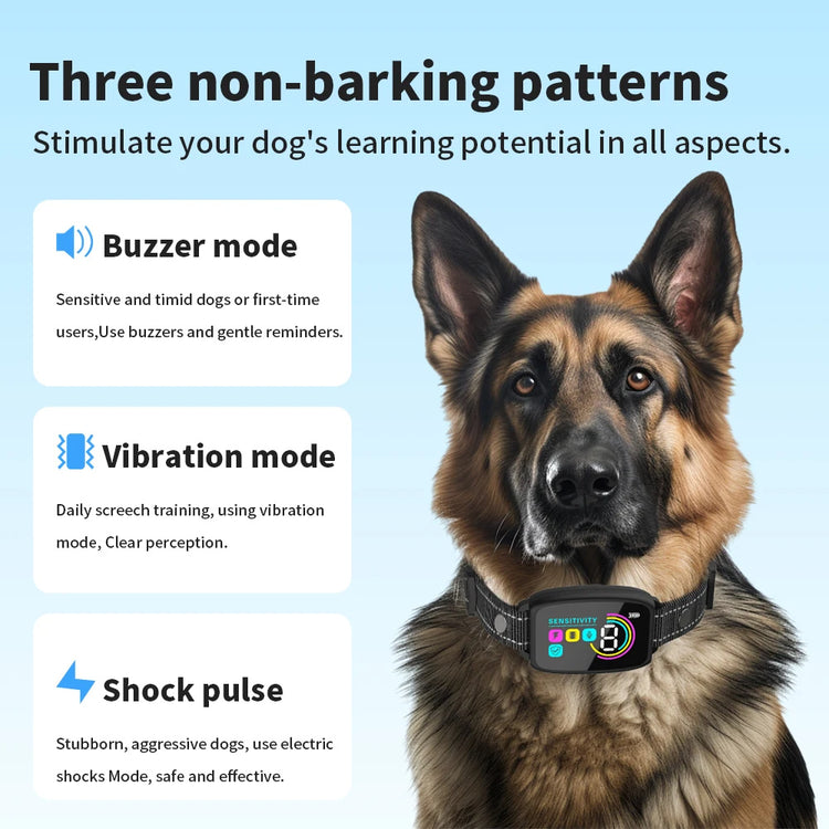 a dog with a smart watch
