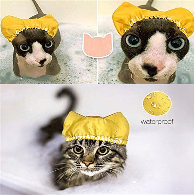 a cat wearing a shower cap