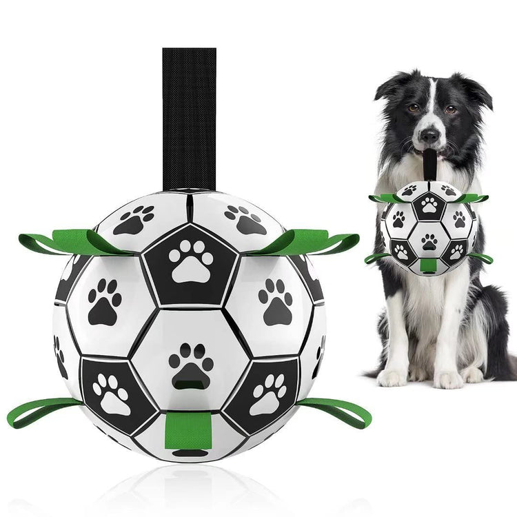 a dog with a ball in its mouth