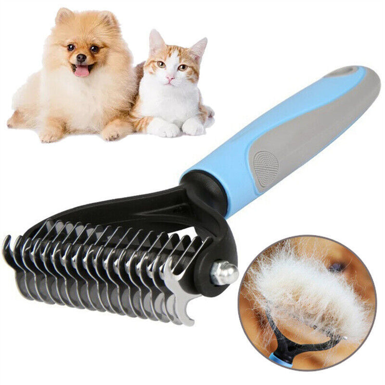 a dog and cat with a comb