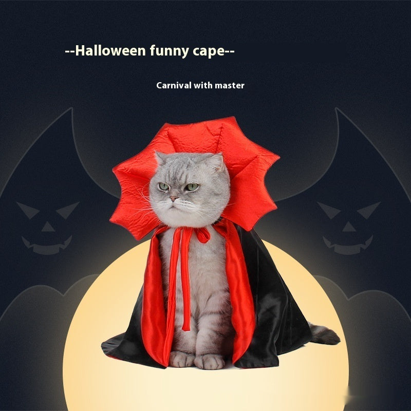a cat wearing a cape and a red collar