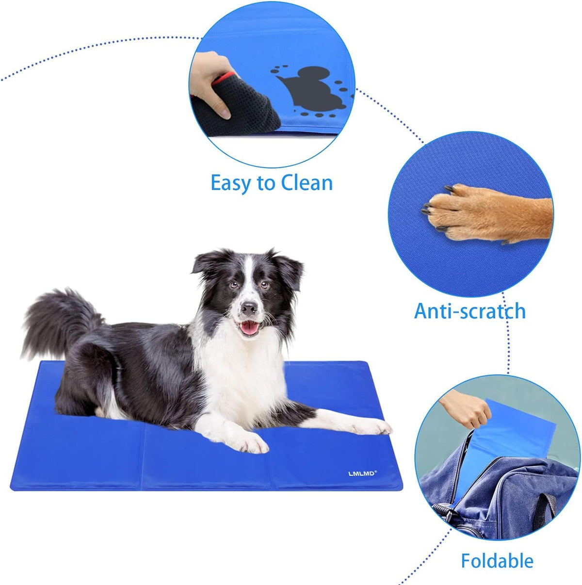 a dog lying on a blue mat
