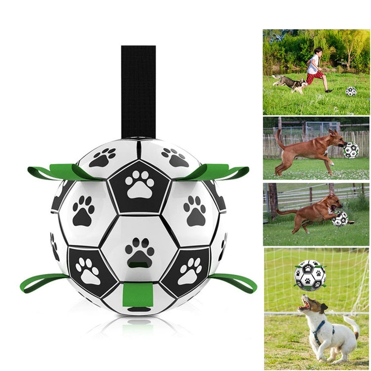 a football ball with a dog and a person playing with it
