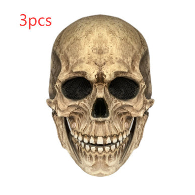 a skull with a white background