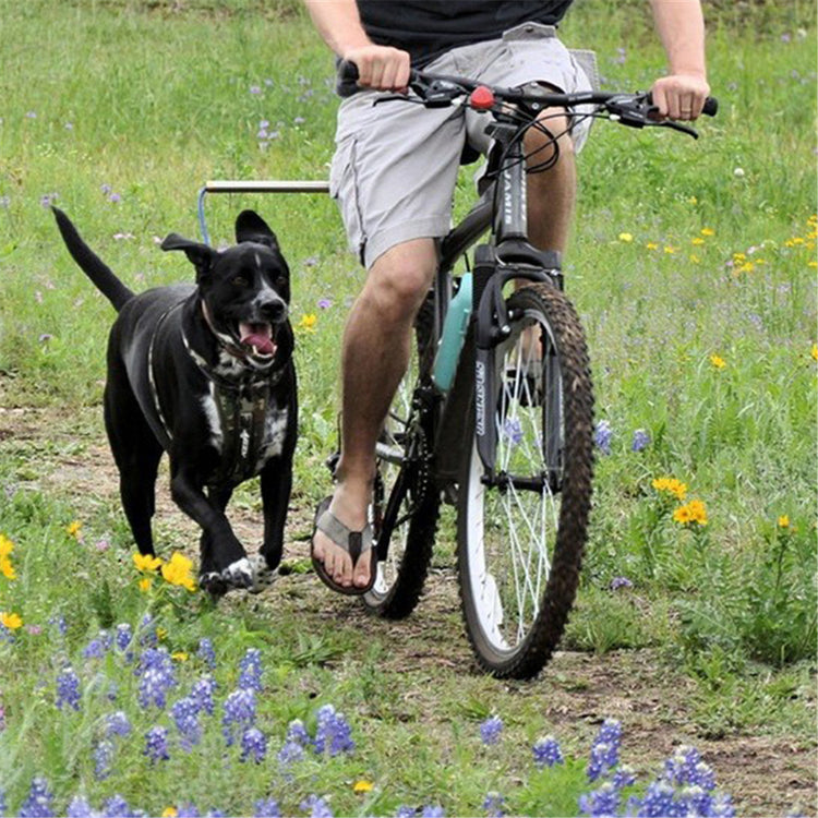 a man riding a bicycle with a dog