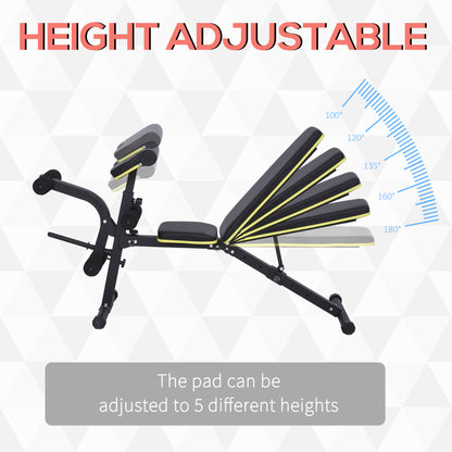 Adjustable Workout Bench with Leg Extension and Curl