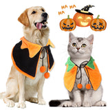 Reversible Pumpkin Halloween Cape for Pets