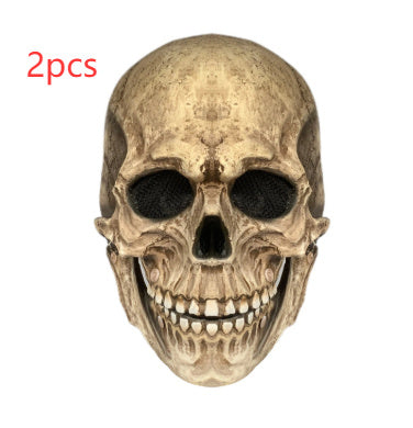 a skull with a white background