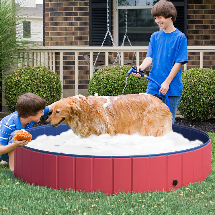 a boy washing a dog in a pool