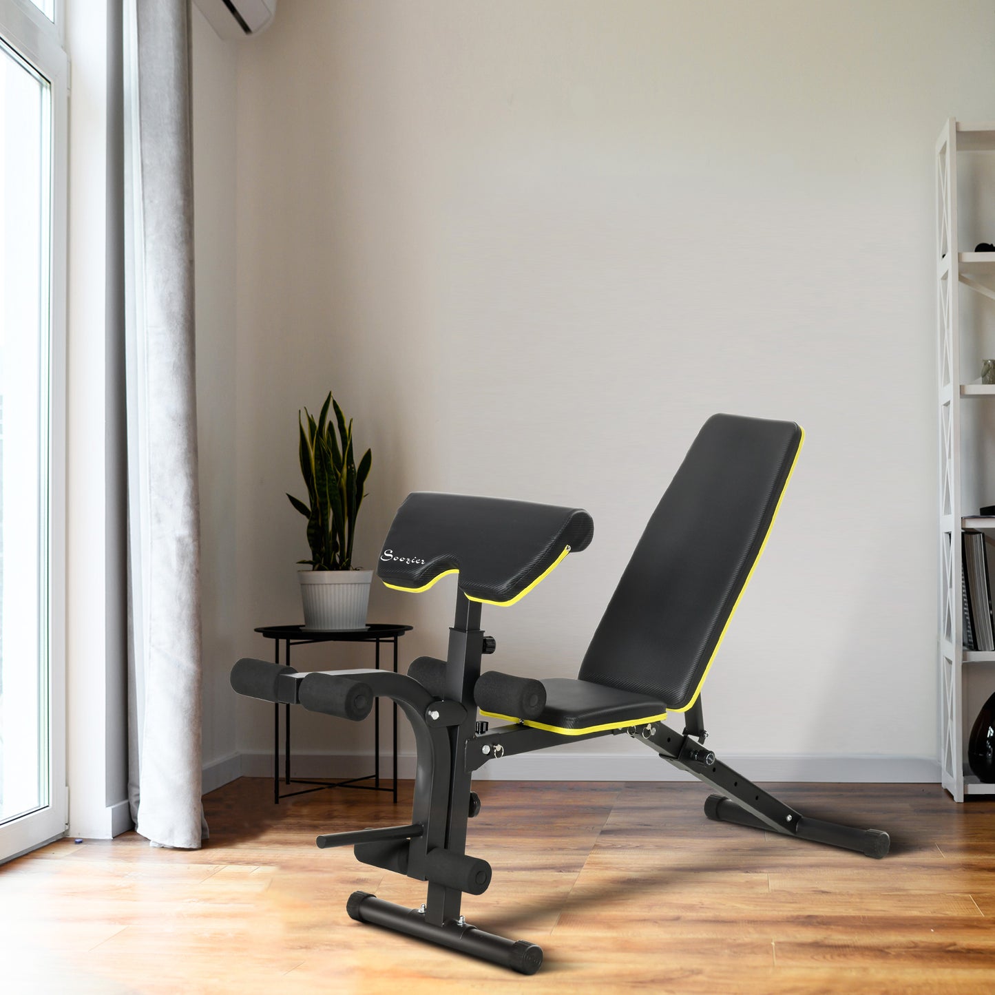 Adjustable Workout Bench with Leg Extension and Curl