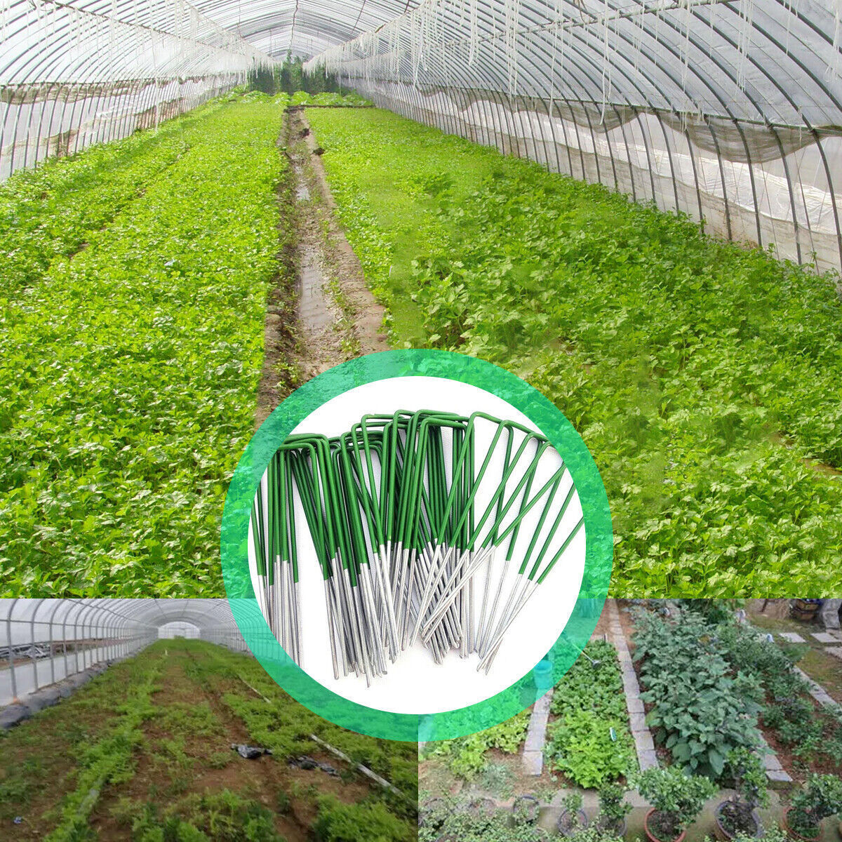 a greenhouse with plants and metal poles