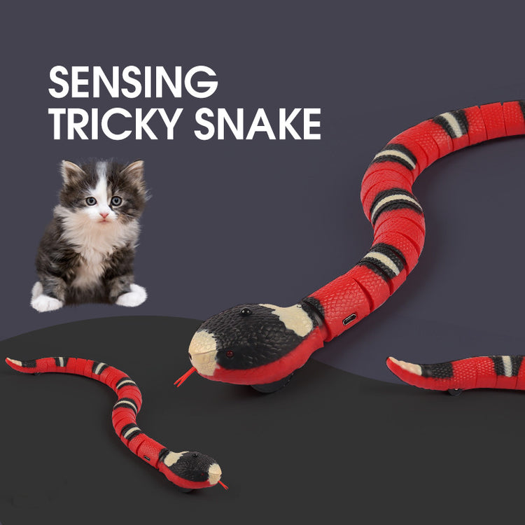 a cat and a toy snake
