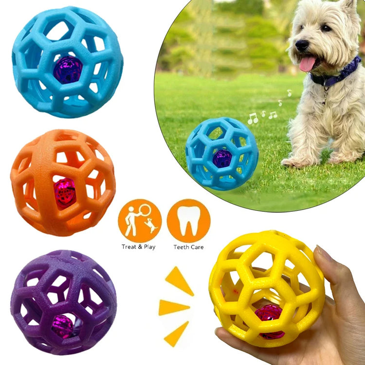 a dog with a dog toy