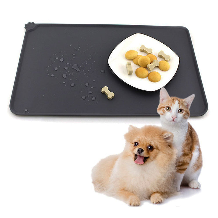 a cat and dog next to a plate of cookies