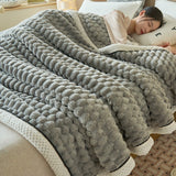 Thick Coral Fleece Thermal Blanket