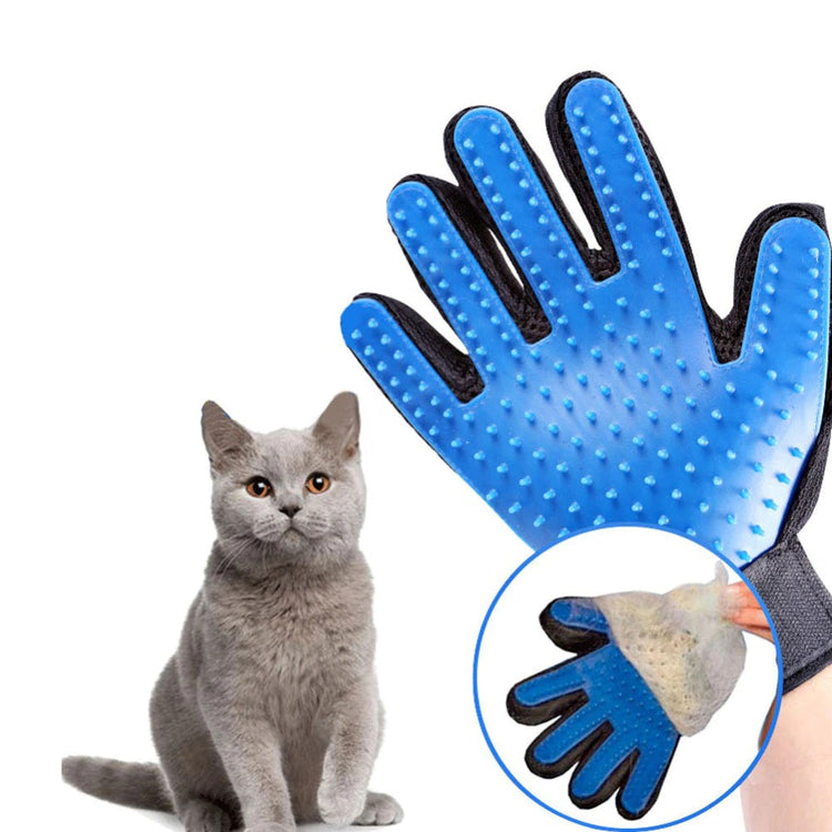 a cat sitting next to a glove