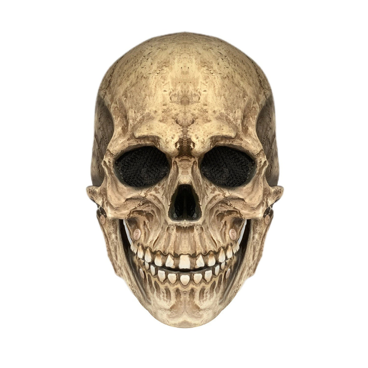 a skull with a white background