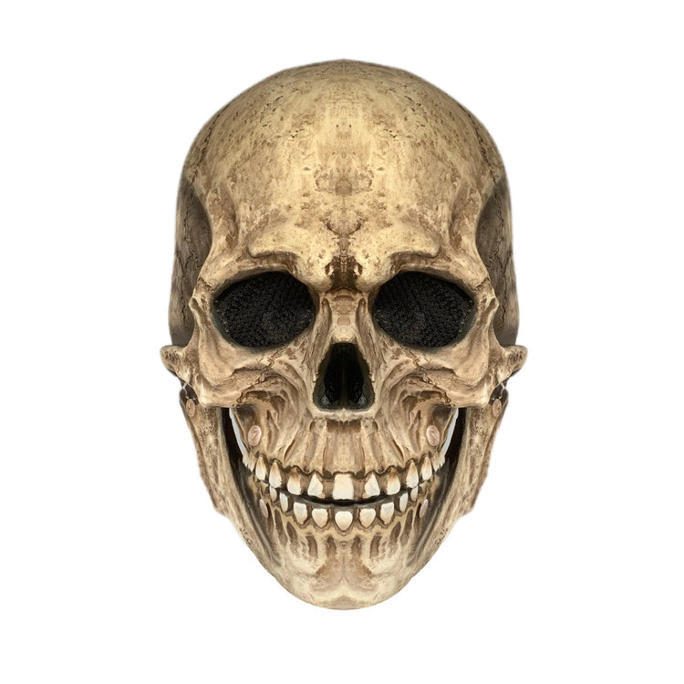 a skull with a white background