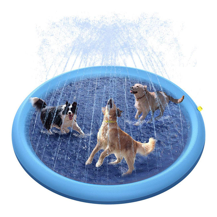 dogs playing in a pool