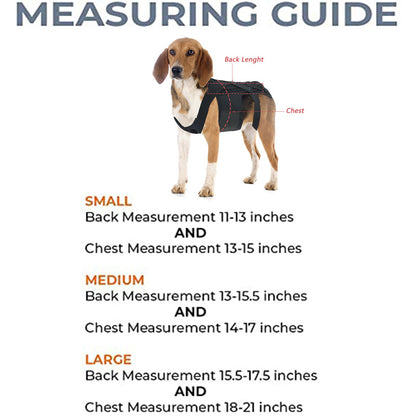 Back Brace For Dogs With IVDD, Arthritis, Back Pain, Surgical Recovery And Rehabilitation, Dachshund Back Pain Relief, IVDD Harness