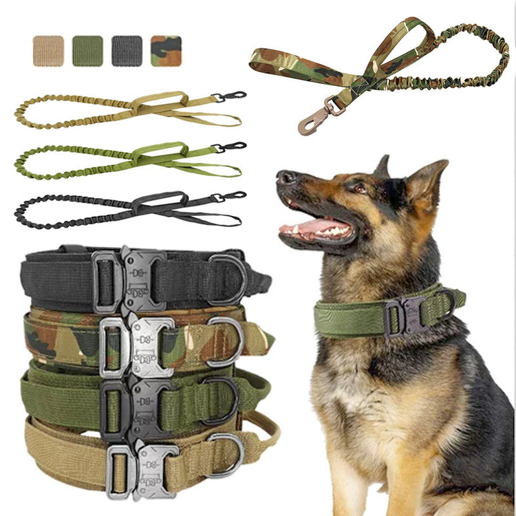 a dog sitting next to different leashes