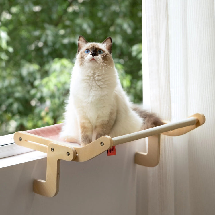 a cat sitting on a shelf