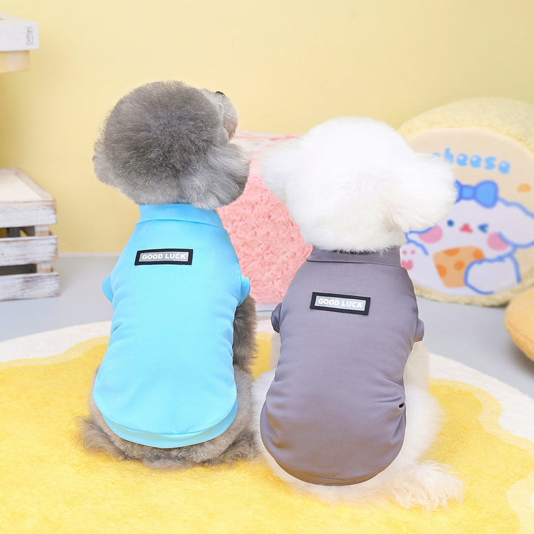 two dogs wearing clothes sitting on a yellow rug