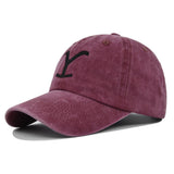Distressed Embroidered Ponytail Baseball Cap
