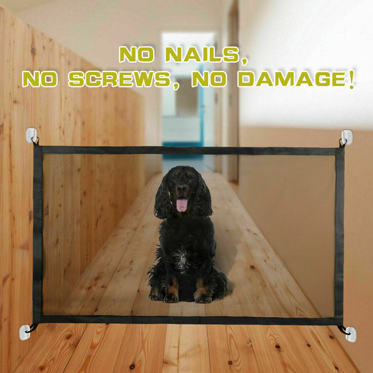 a dog sitting in a hallway with a fence