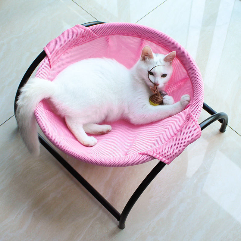 a white cat lying in a pink pet bed