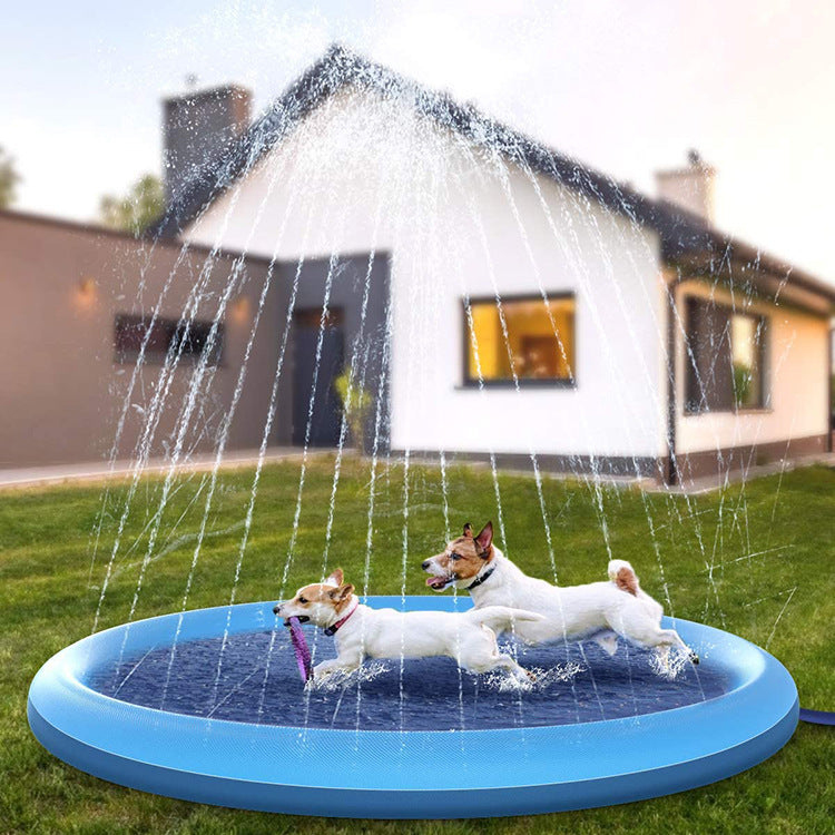 two dogs playing in a water pool