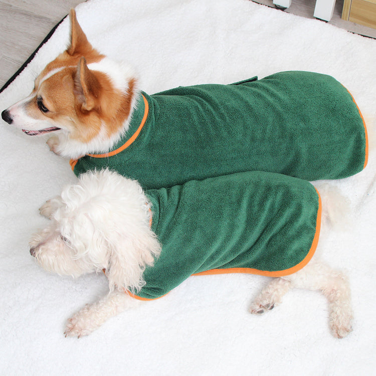 two dogs wearing green robes