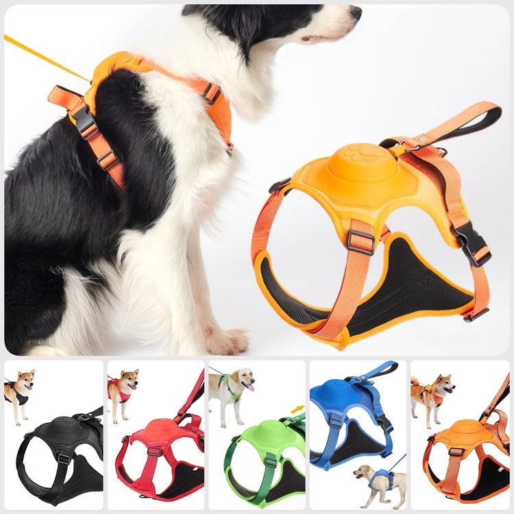 a collage of a dog wearing a harness