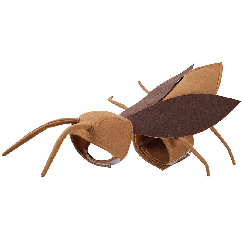 a brown and brown ant