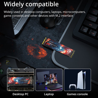 SSD Notebook M2 Solid State Drive