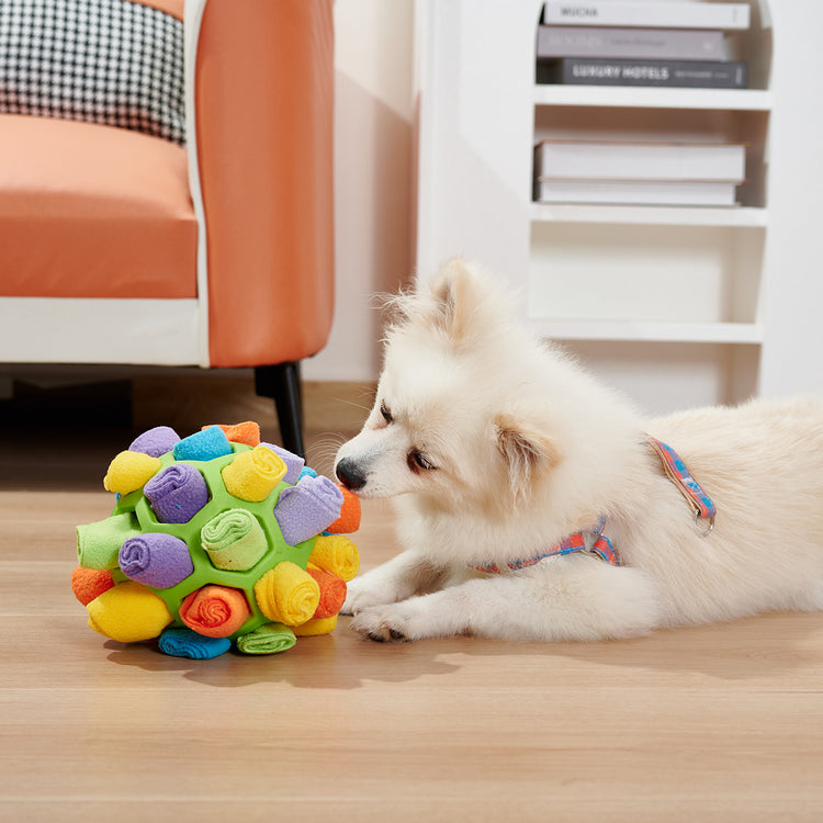 a dog lying on the floor with a toy