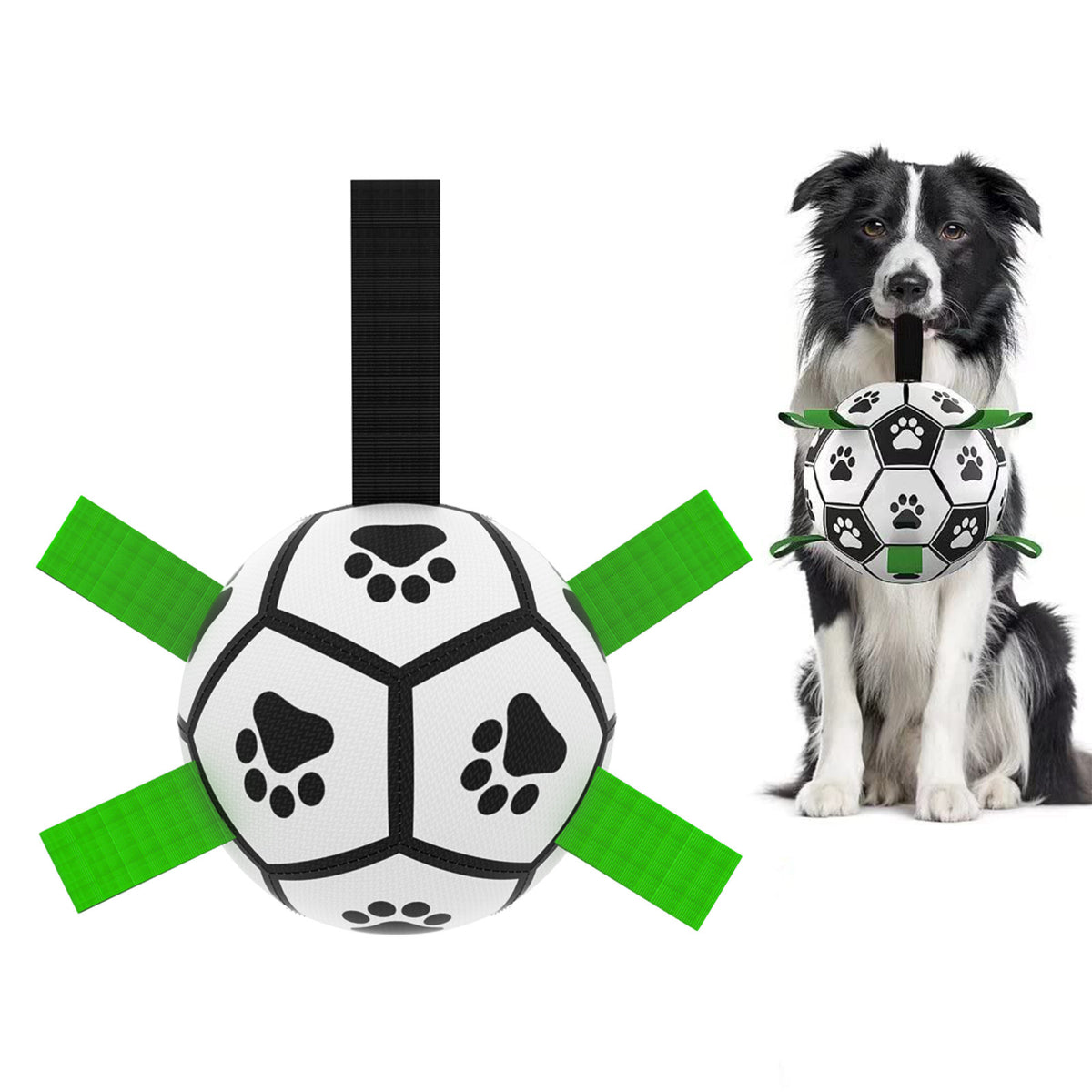 a dog holding a ball