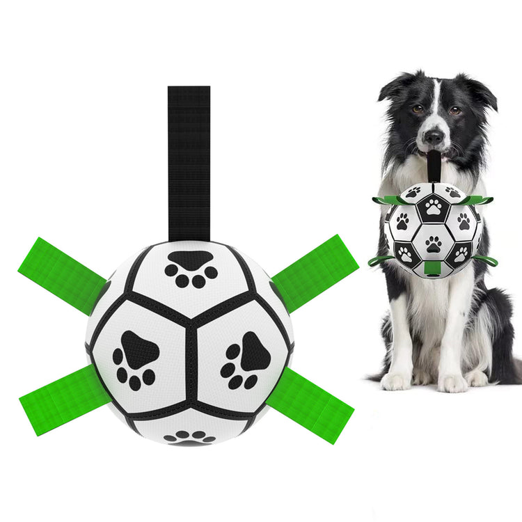 a dog holding a ball