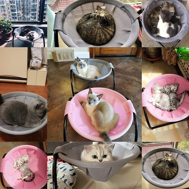 a collage of cats in a hammock