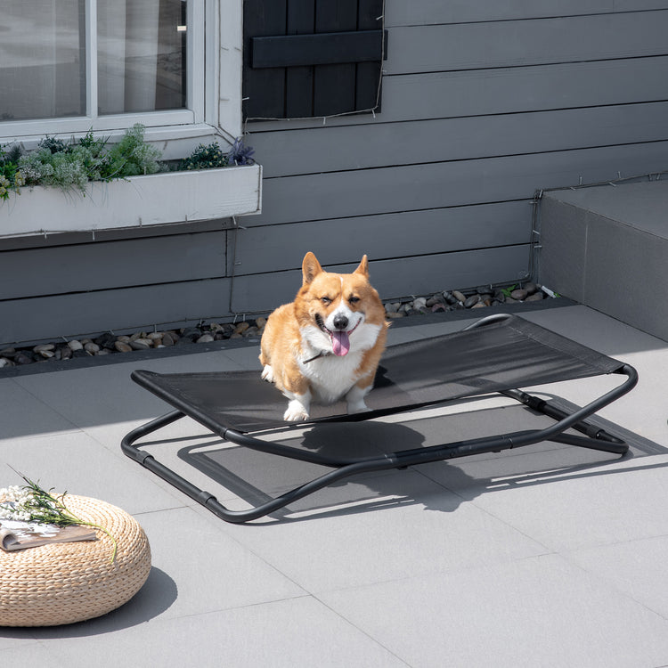 a dog sitting on a chair