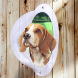 Dedicated Fence Window Transparent Semicircular Acrylic Fence Pet Cat Door