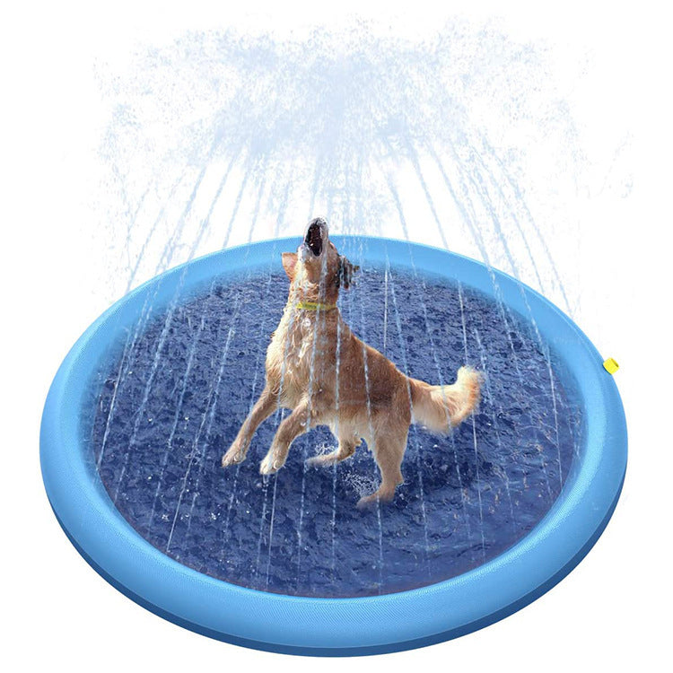 a dog in a blue pool with water dripping from it