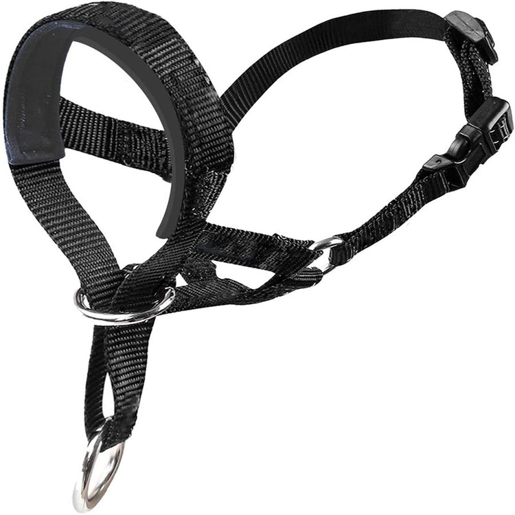 a black harness with silver rings
