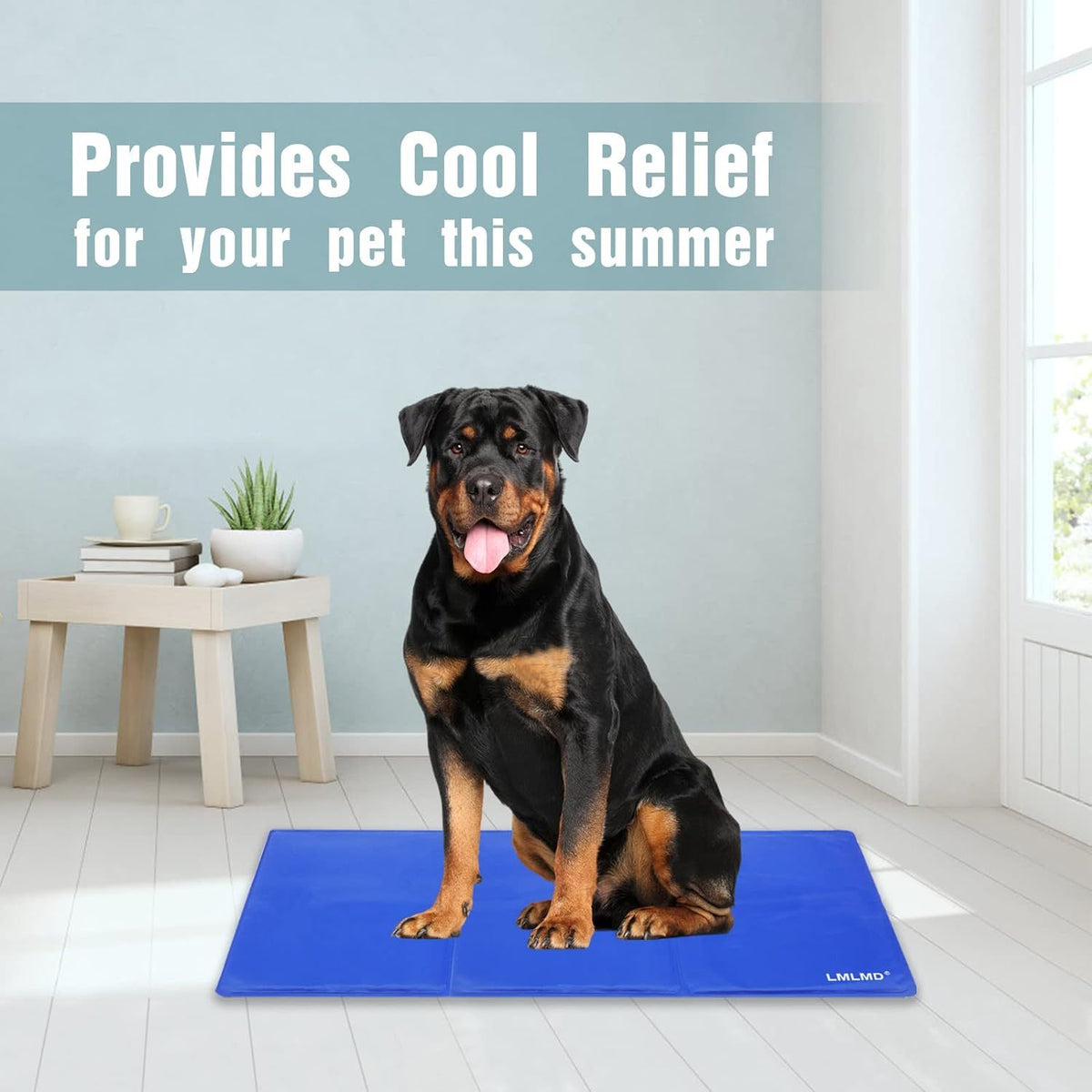 a dog sitting on a blue mat