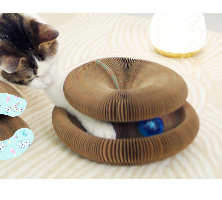 a cat playing with a toy