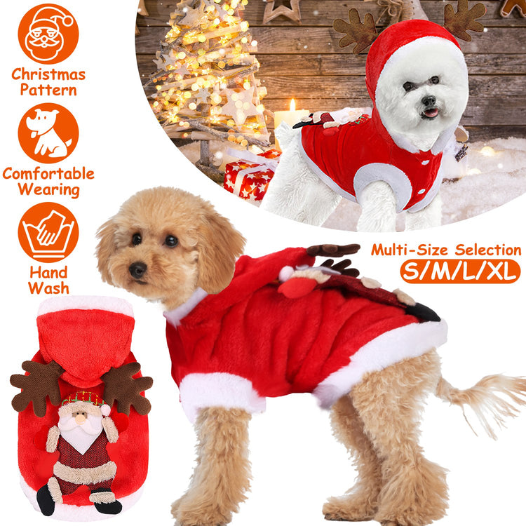 a dog wearing a red and white outfit